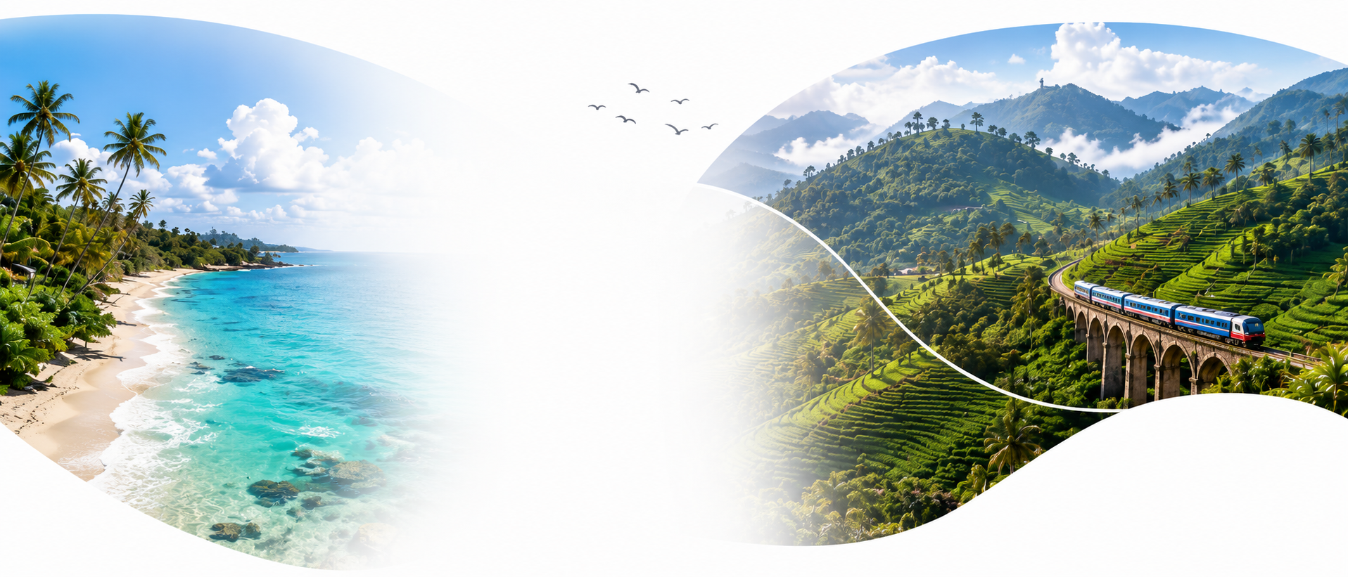 Sri Lankan coast, ocean, hill country, tea fields, and a scenic train