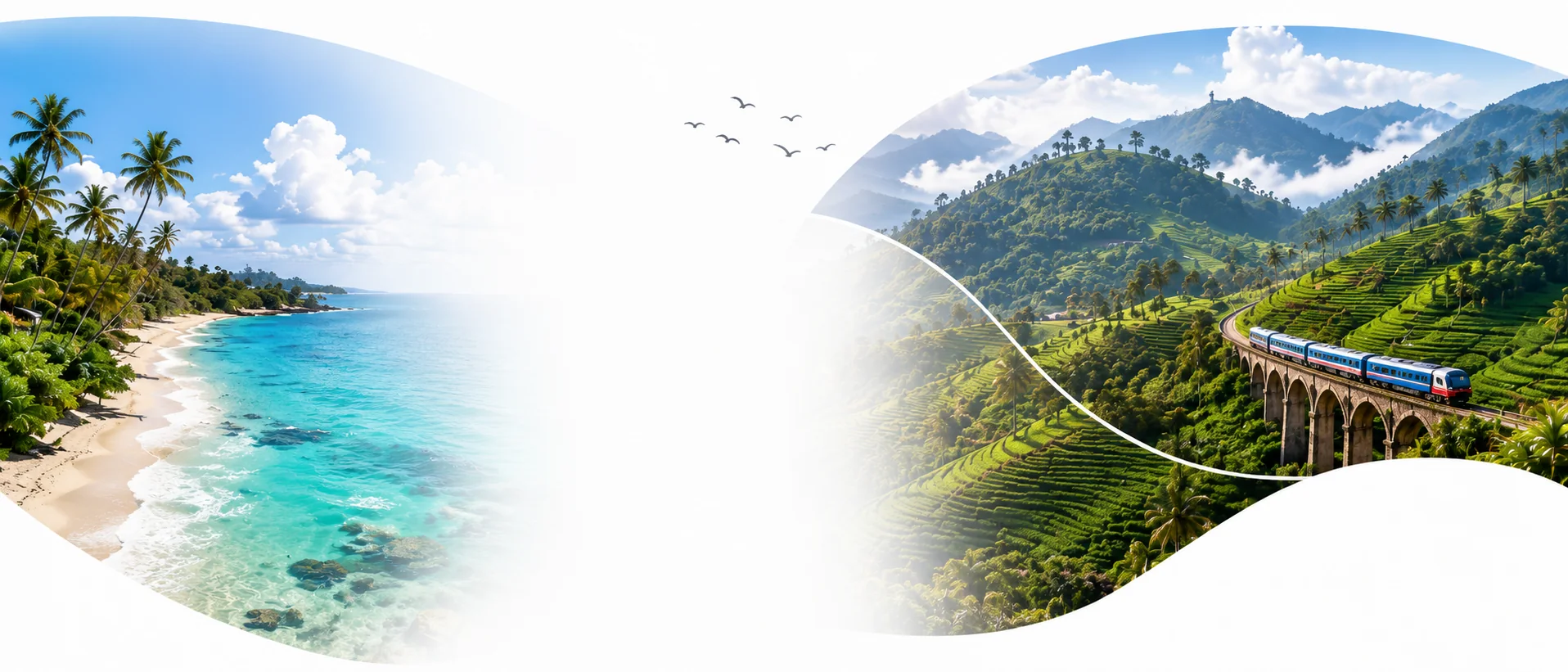 Sri Lankan coast, ocean, hill country, tea fields, and a scenic train